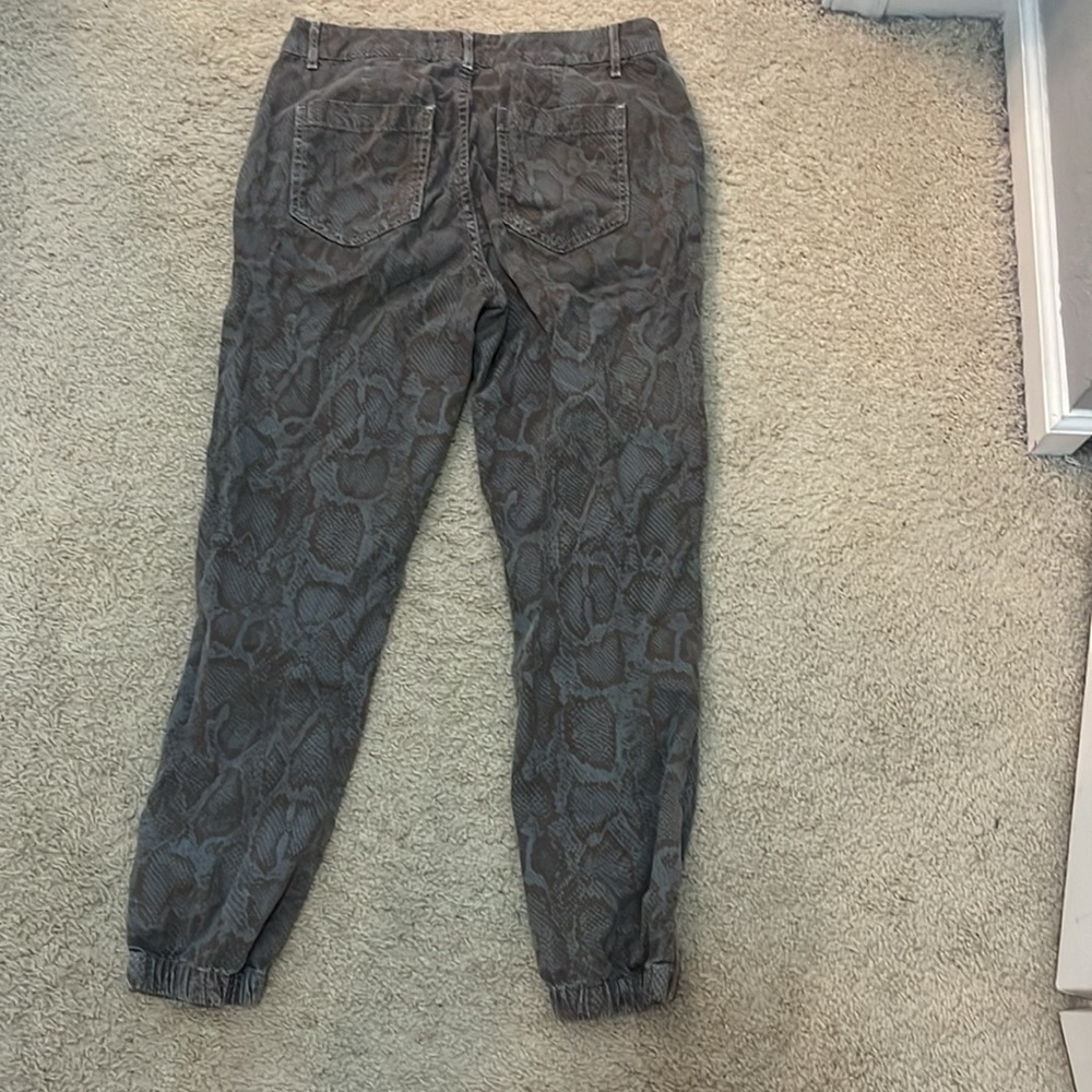 Sundry Python Jogger Pants - Picture 5 of 5